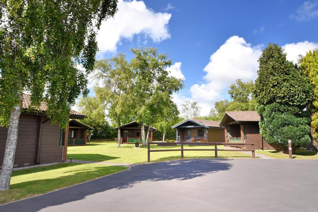 Вилла 4 Pinewood Retreat Лайм-Реджис Экстерьер фото